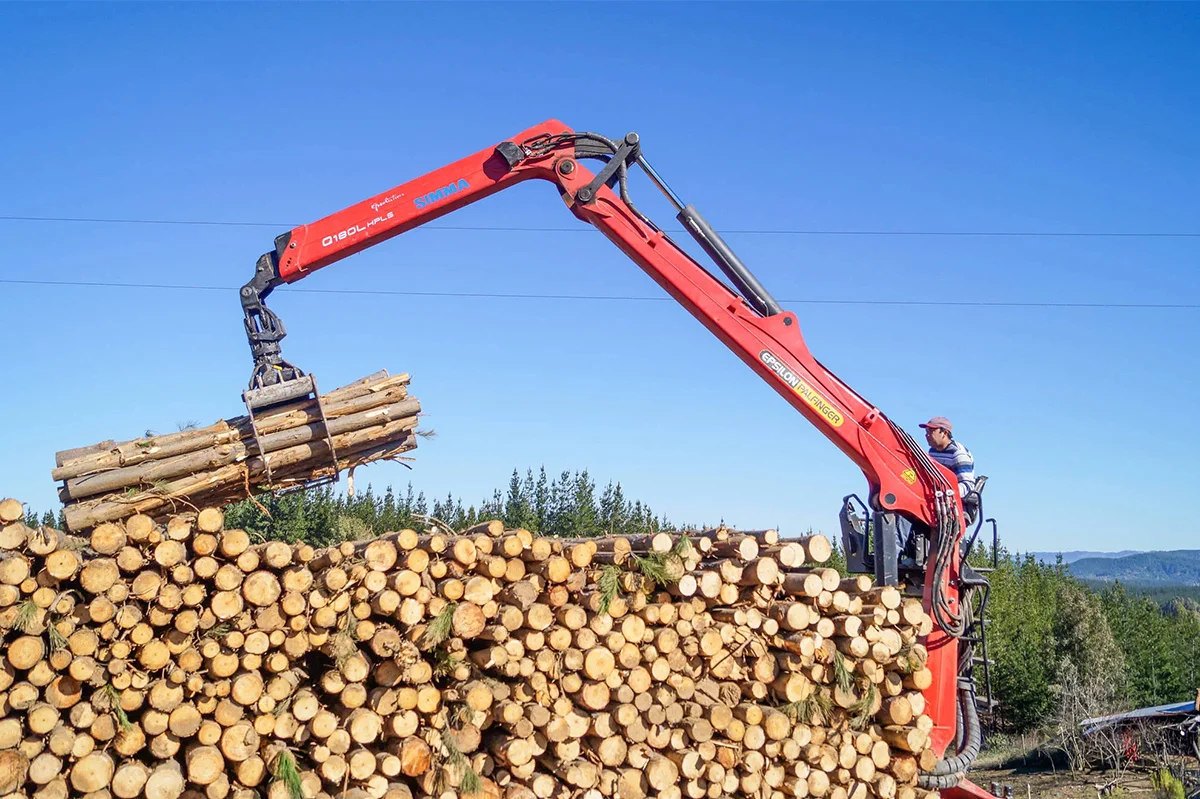 Forestry Recycling Cranes