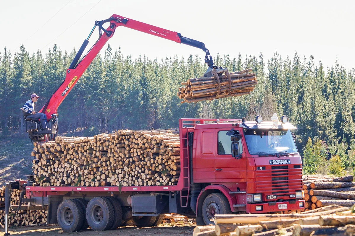 Forestry Recycling Cranes